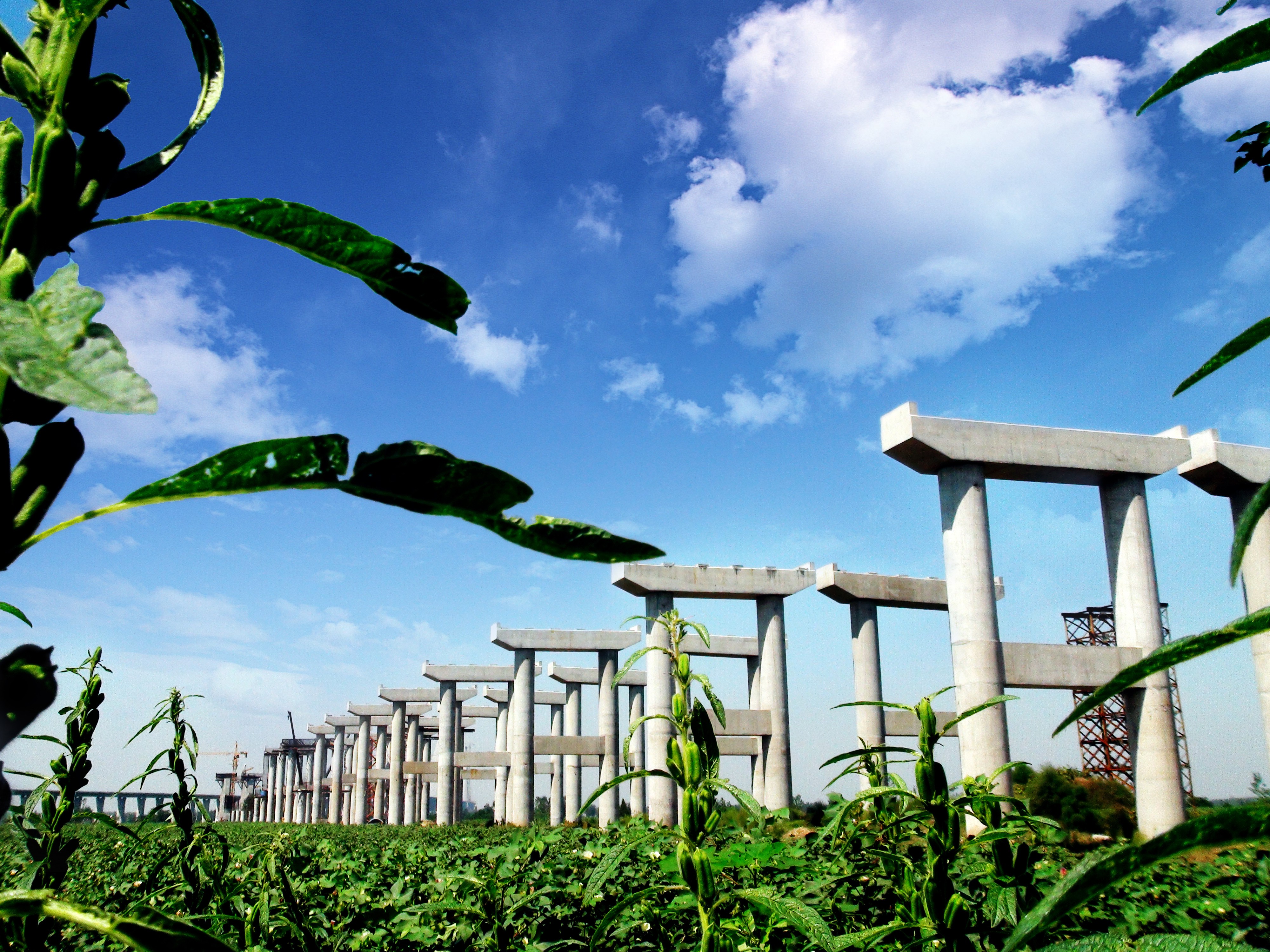 3499拉斯维加斯(官方认证)网站-Made in PRC